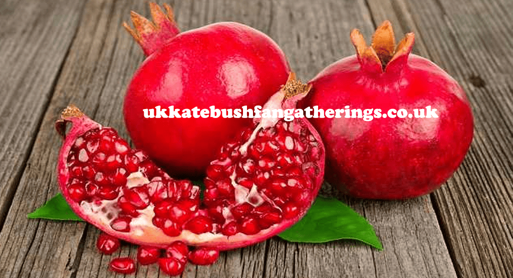 ukkatebushfangatherings.co