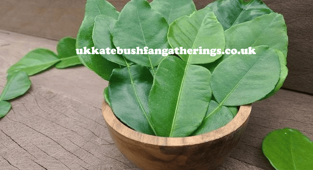 ukkatebushfangatherings.co