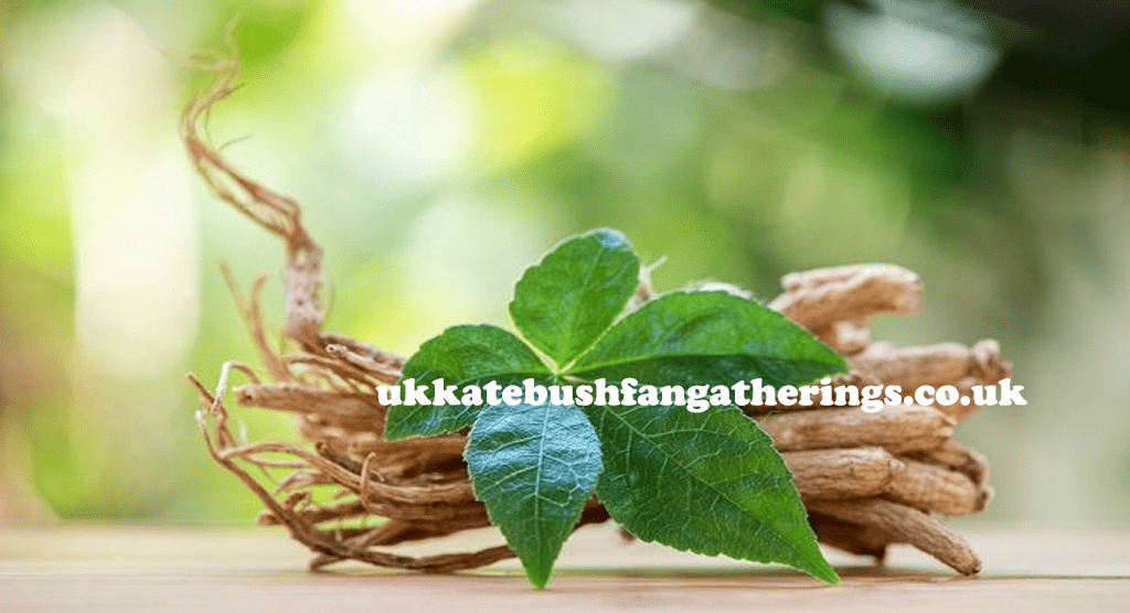 ukkatebushfangatherings.co