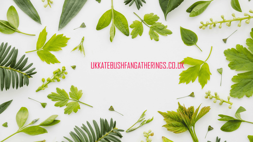 ukkatebushfangatherings.co.uk