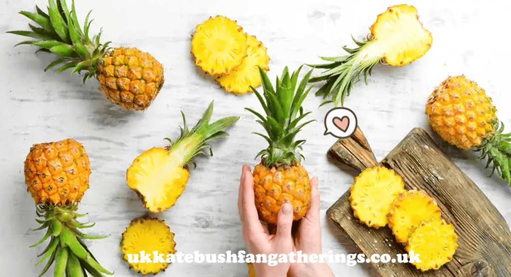 ukkatebushfangatherings.co