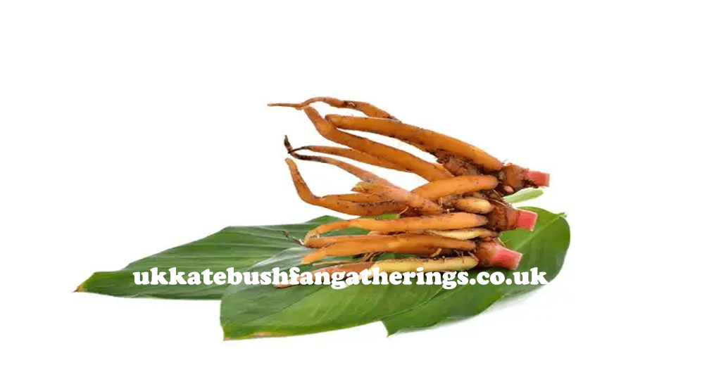 ukkatebushfangatherings.co