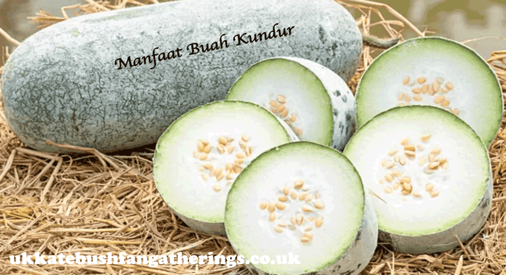 ukkatebushfangatherings.co