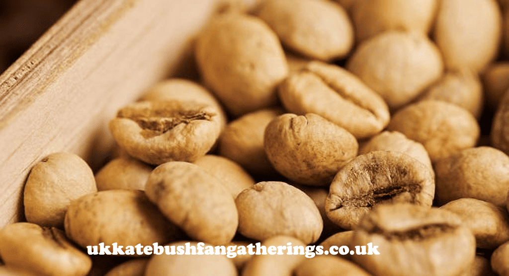 ukkatebushfangatherings.co