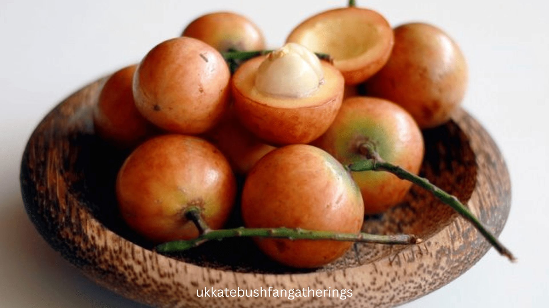 ukkatebushfangatherings