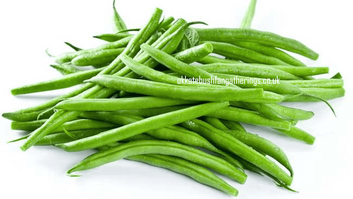 ukkatebushfangatherings.co