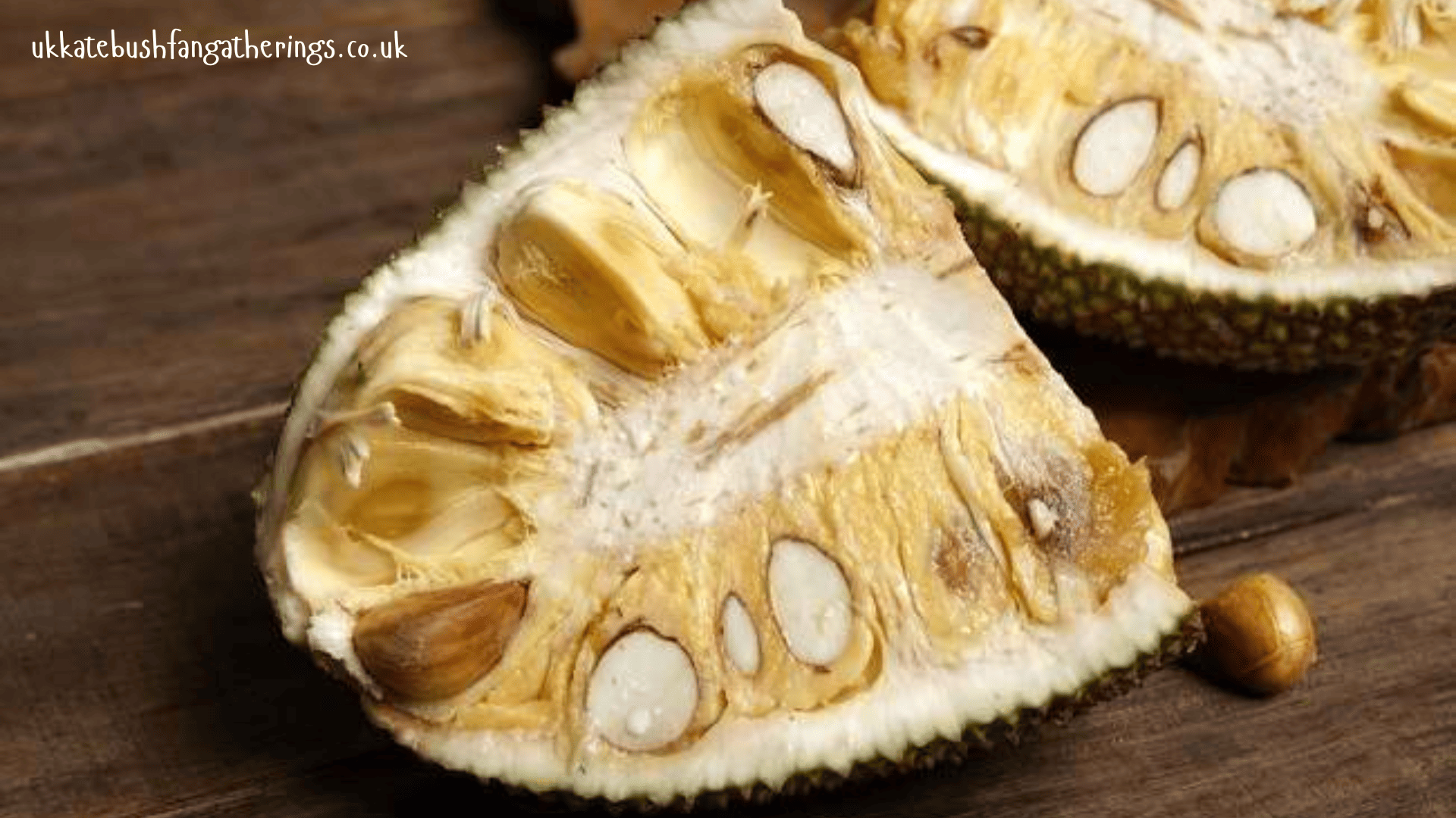 ukkatebushfangatherings.co.uk