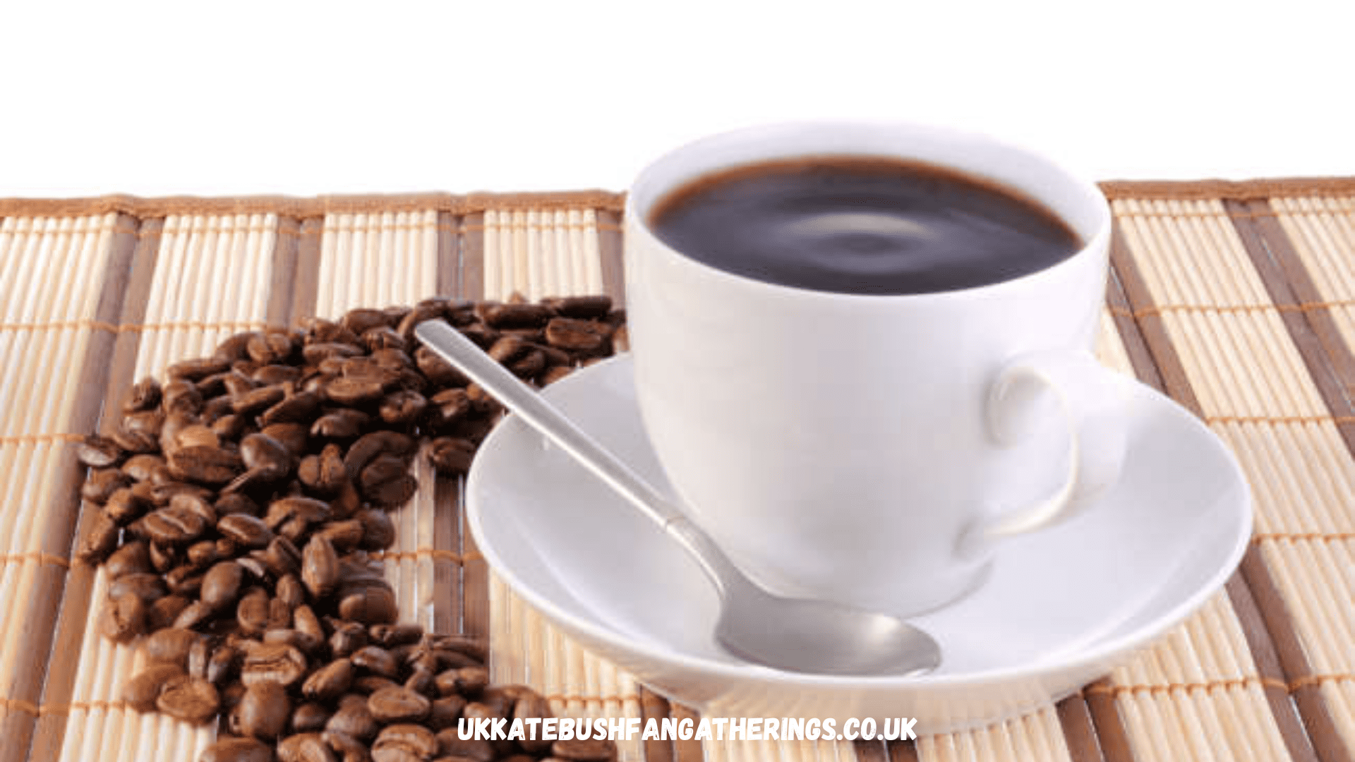 ukkatebushfangatherings.co.uk