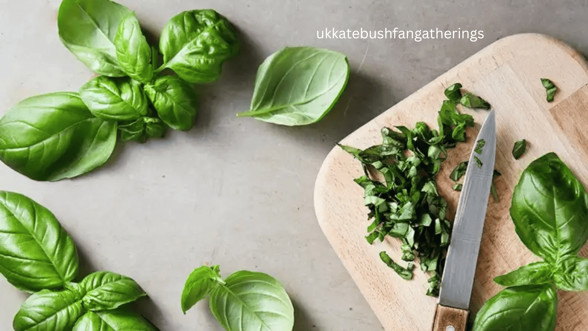 ukkatebushfangatherings