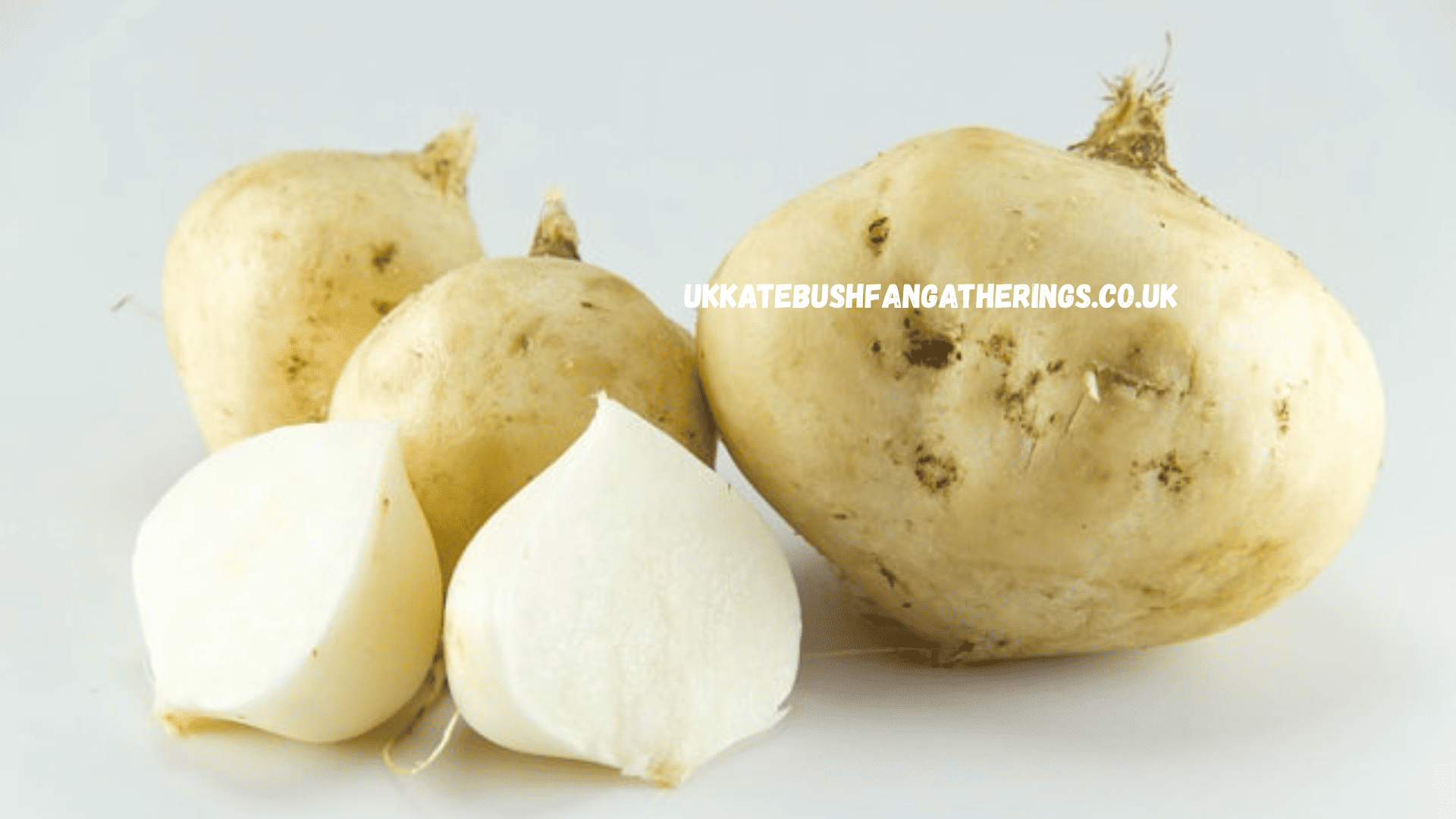 ukkatebushfangatherings.co.uk