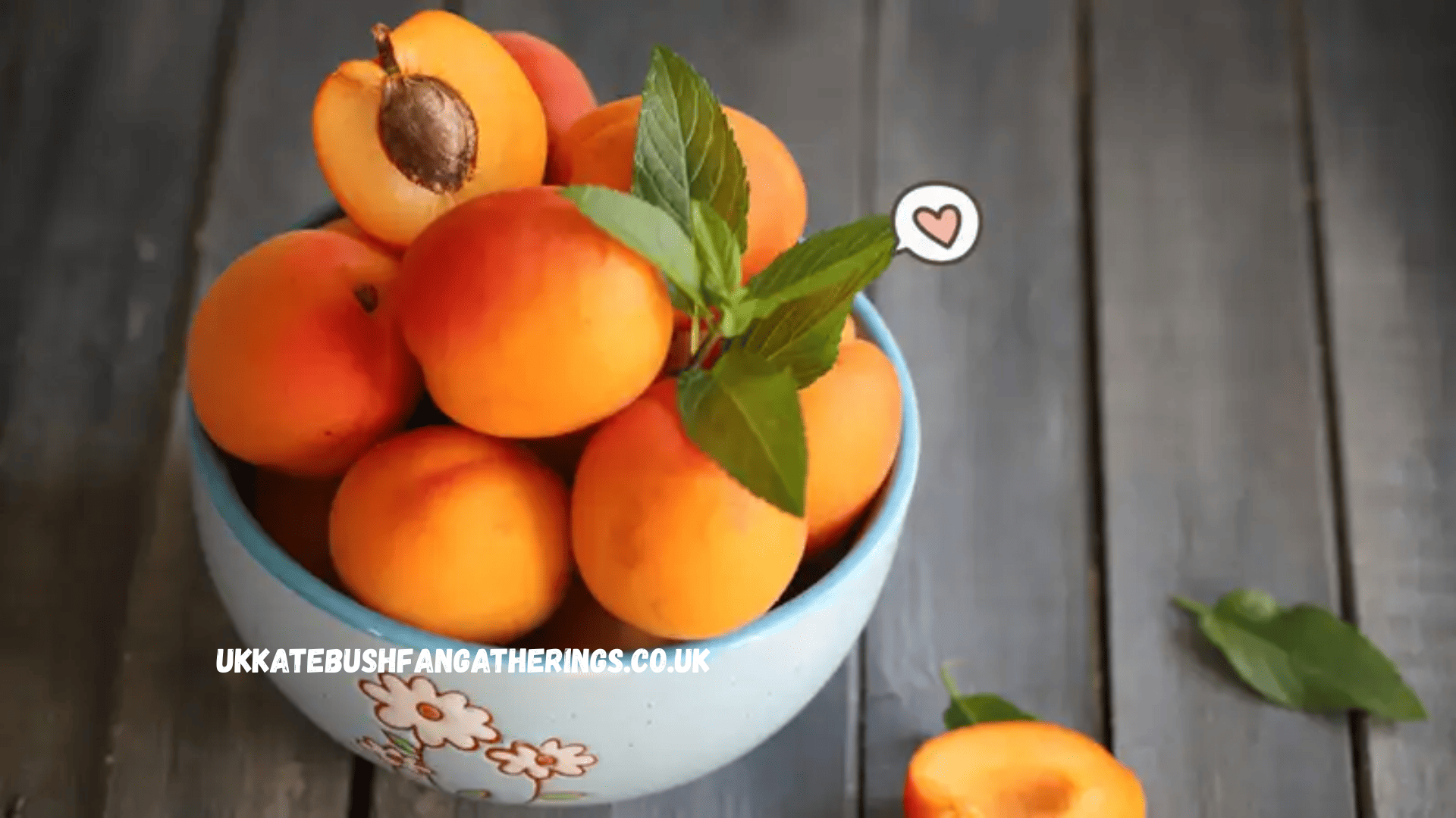 ukkatebushfangatherings.co.uk