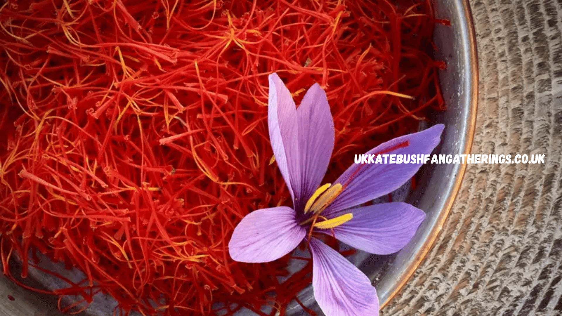 ukkatebushfangatherings.co.uk