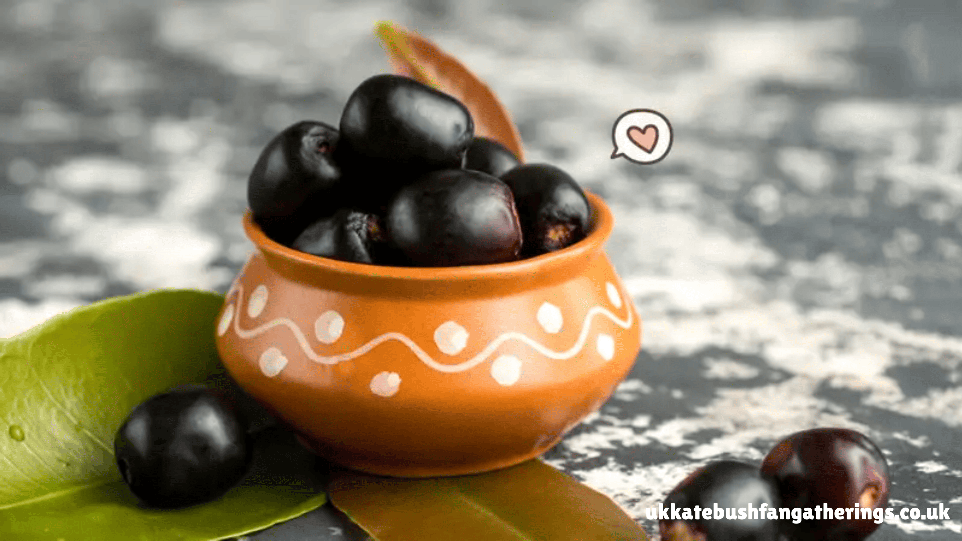 ukkatebushfangatherings.co.uk