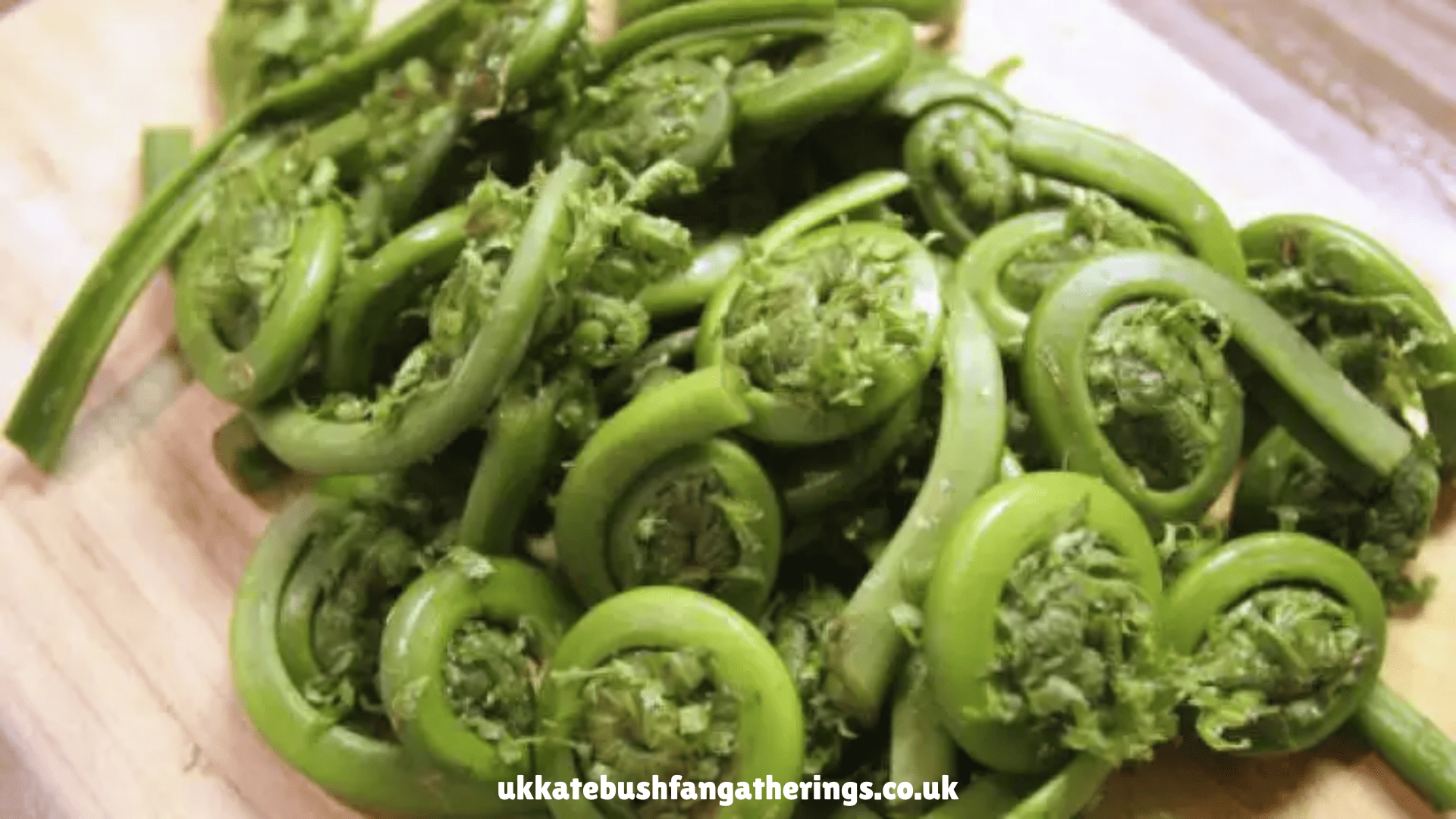 ukkatebushfangatherings.co.uk