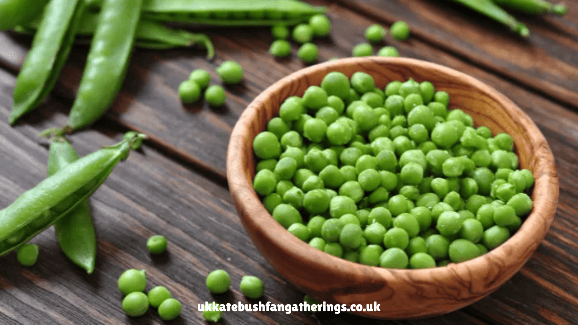 ukkatebushfangatherings.co.uk