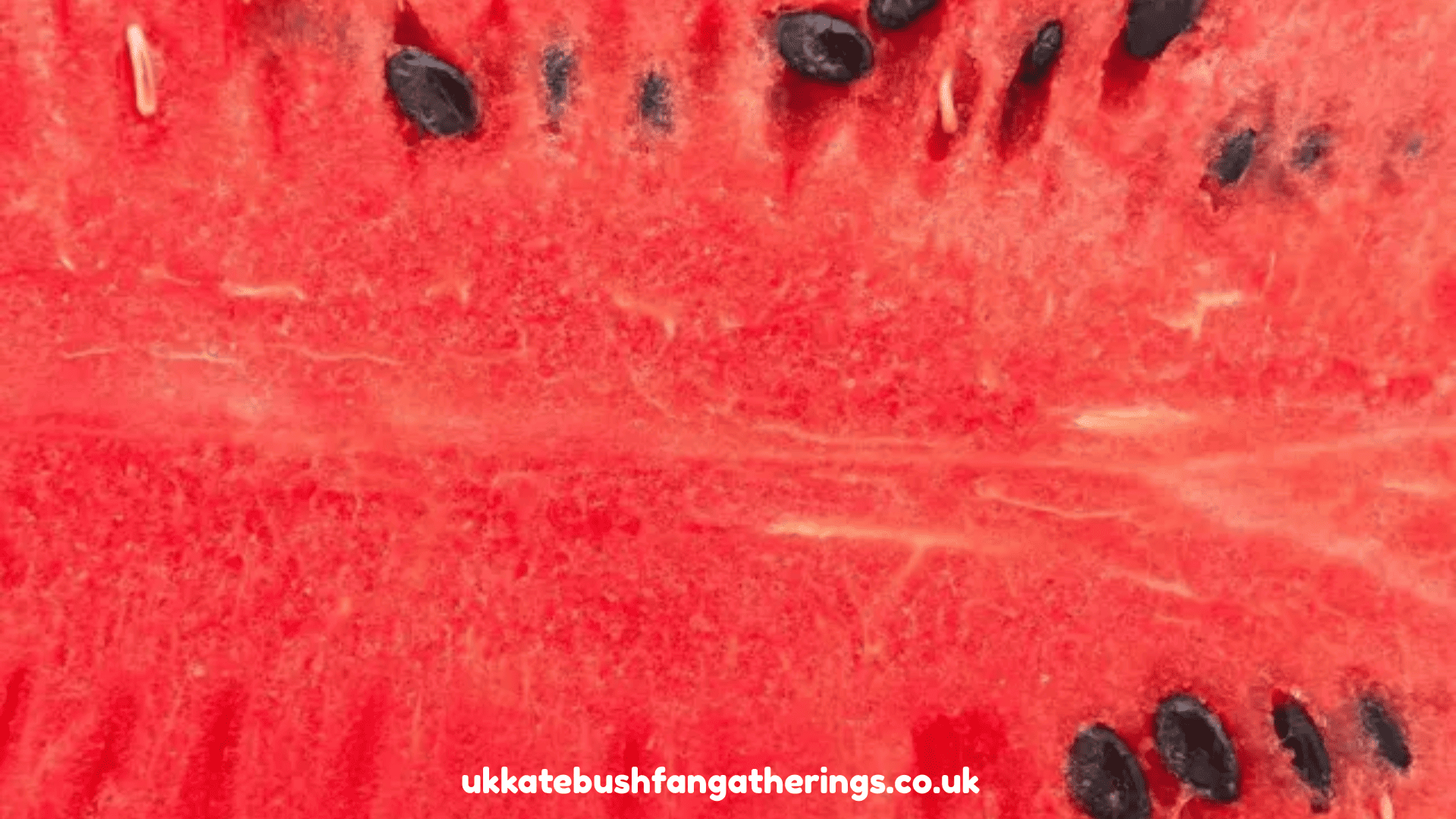 ukkatebushfangatherings.co.uk