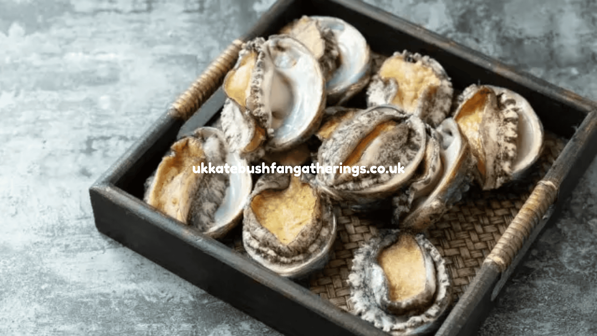 ukkatebushfangatherings.co.uk