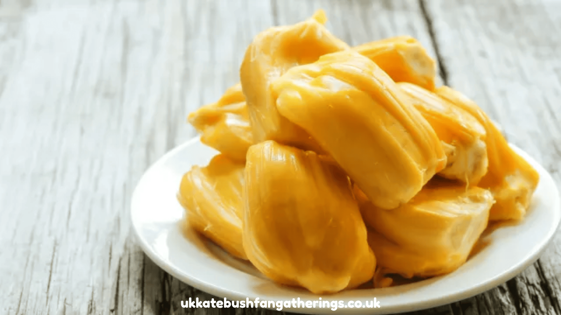 ukkatebushfangatherings.co.uk