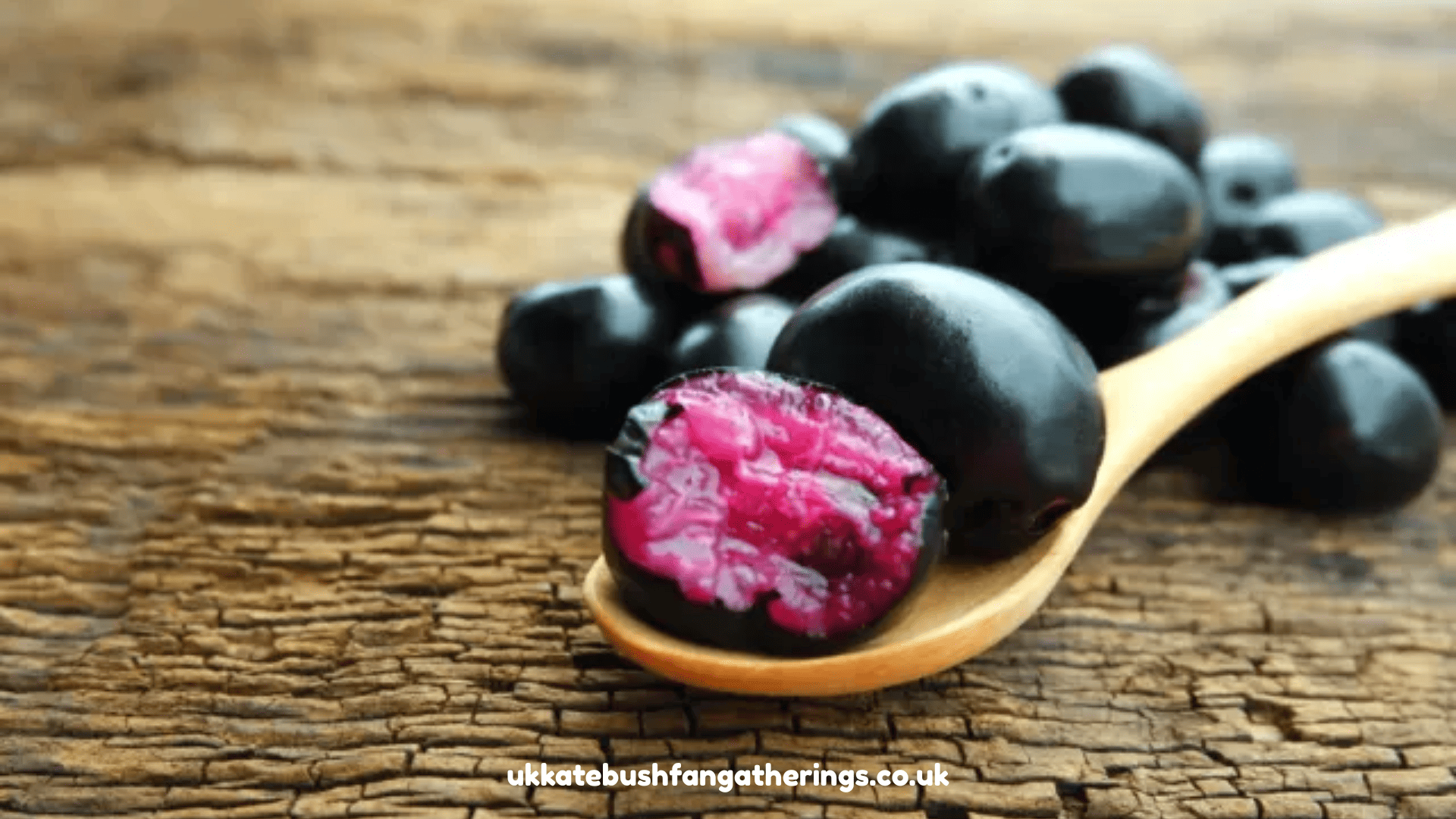 ukkatebushfangatherings.co.uk