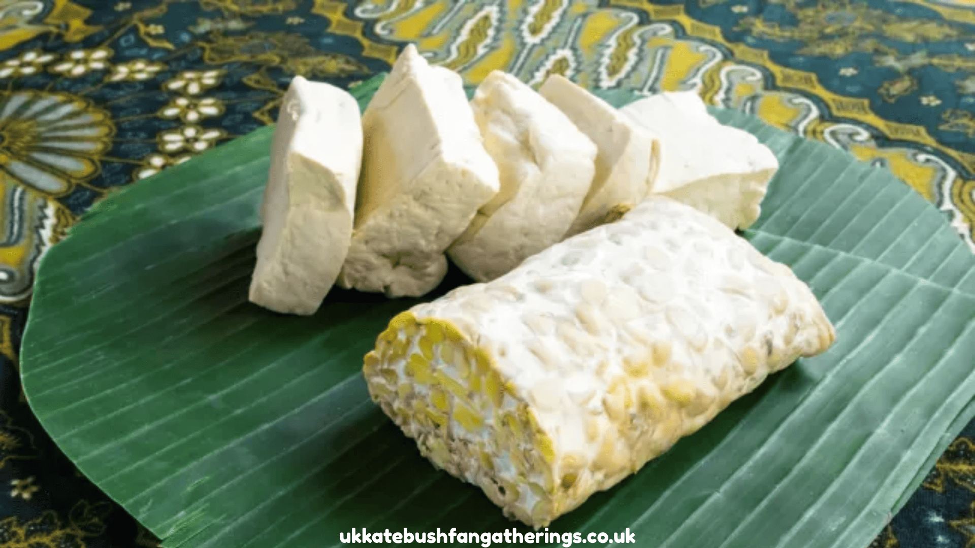 ukkatebushfangatherings.co.uk