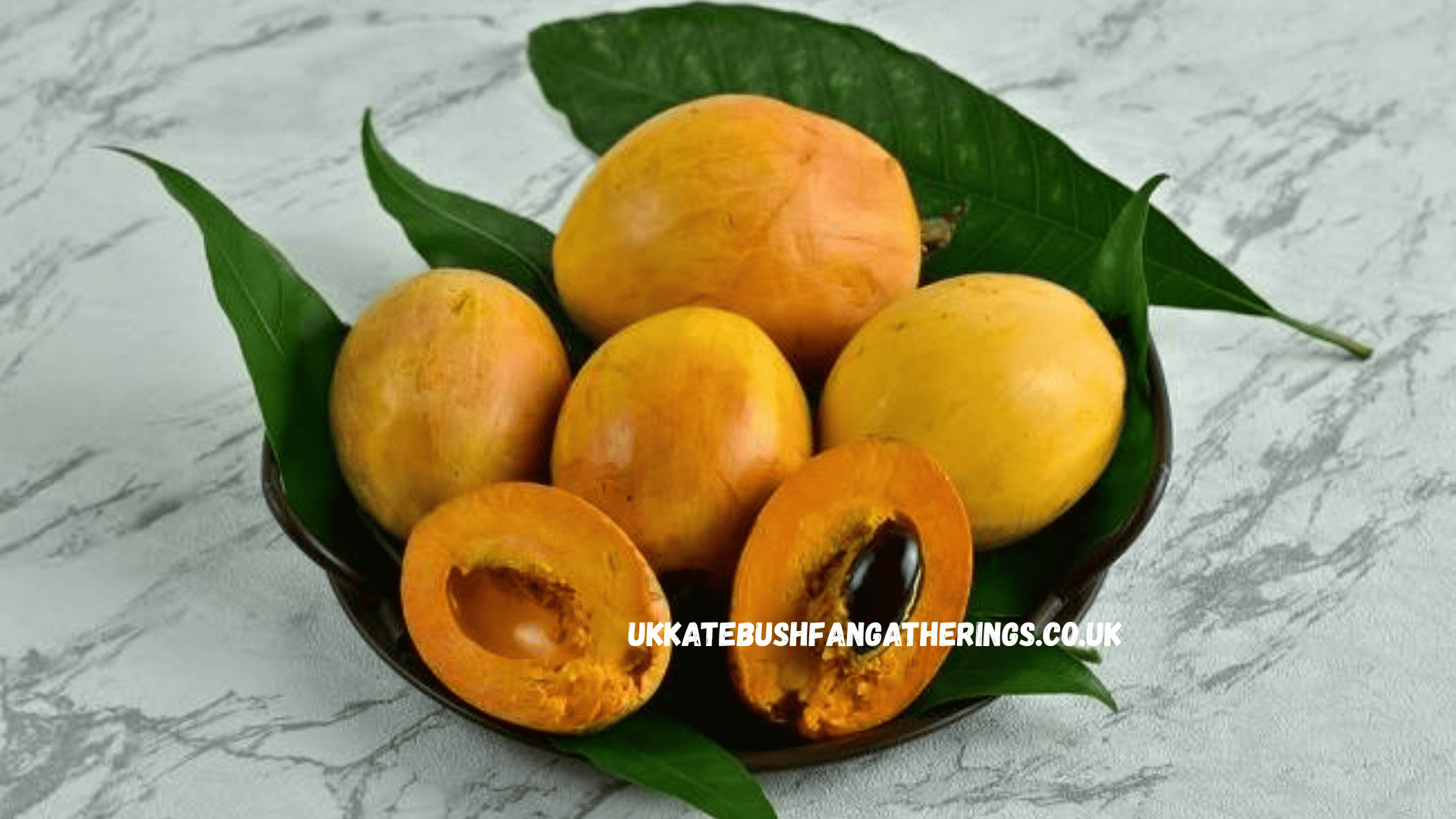 ukkatebushfangatherings.co.uk