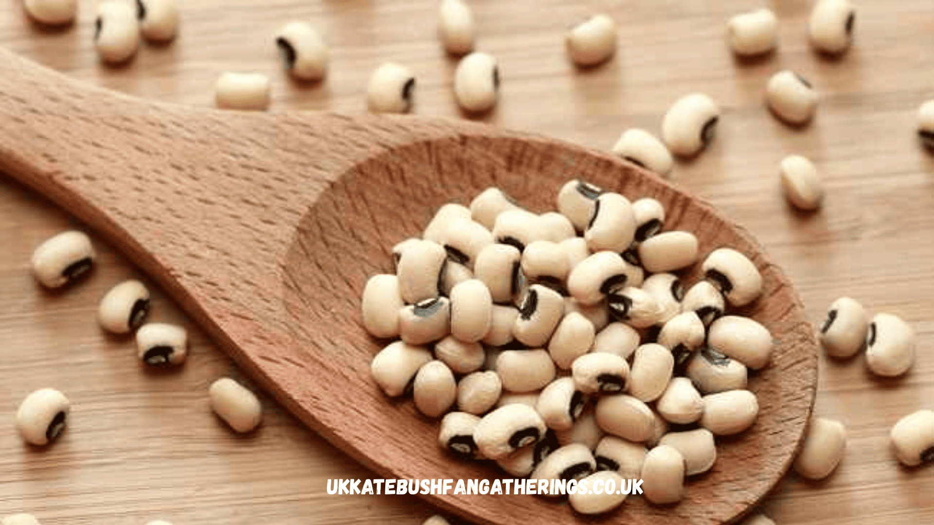 ukkatebushfangatherings.co.uk