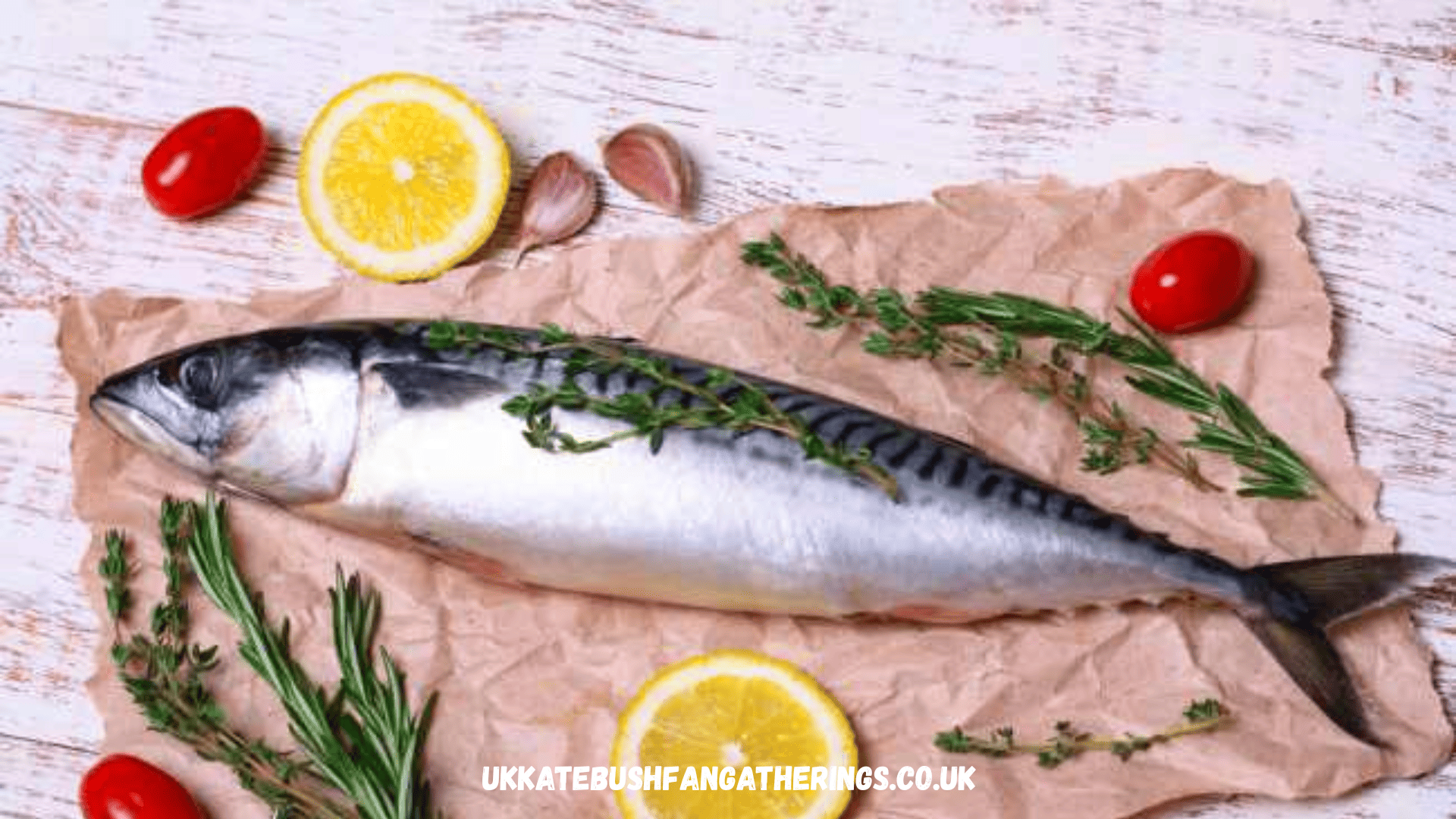 ukkatebushfangatherings.co.uk