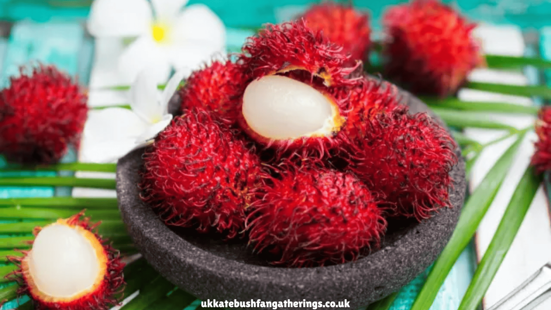 ukkatebushfangatherings.co.uk