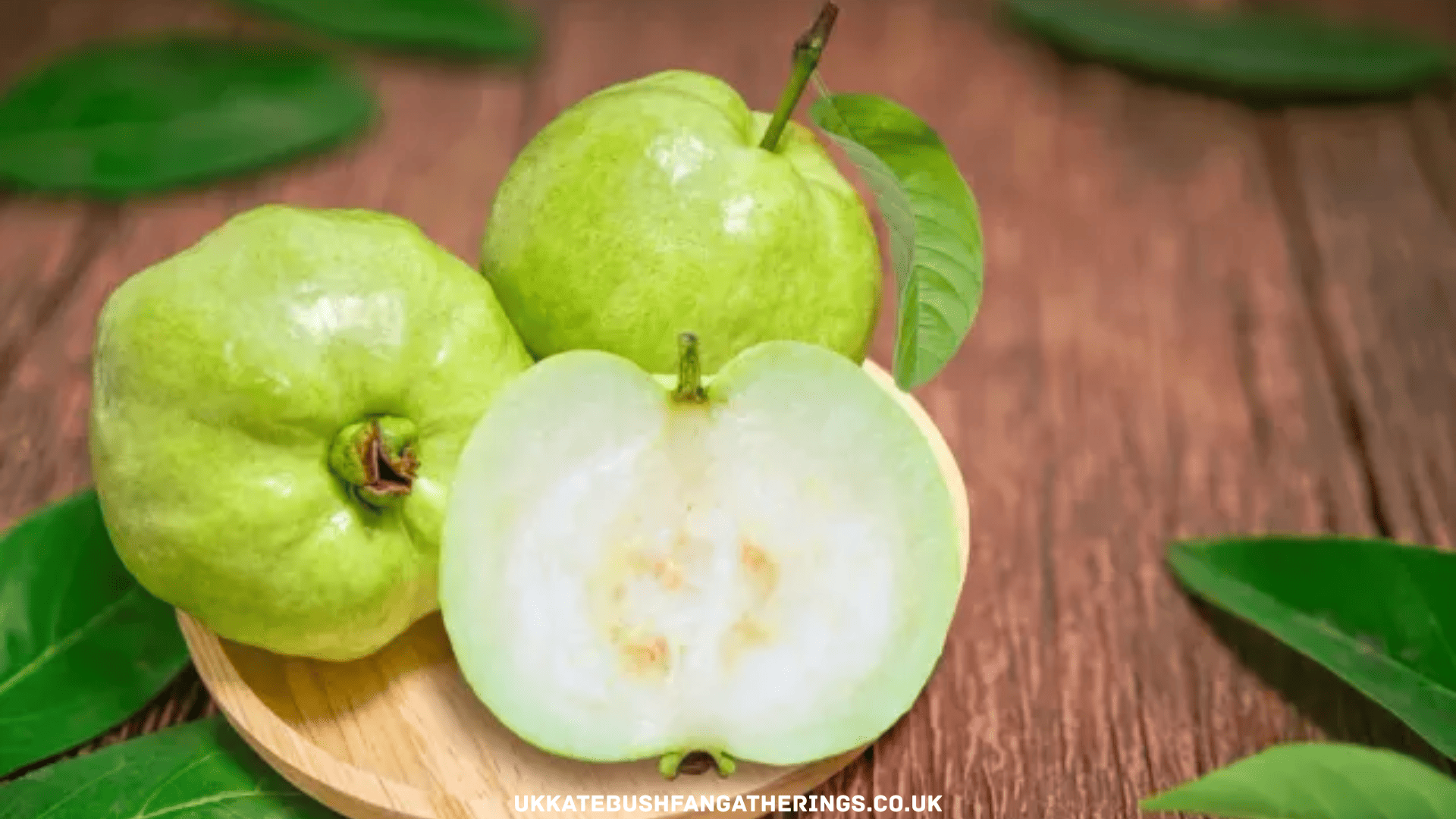 ukkatebushfangatherings.co.uk