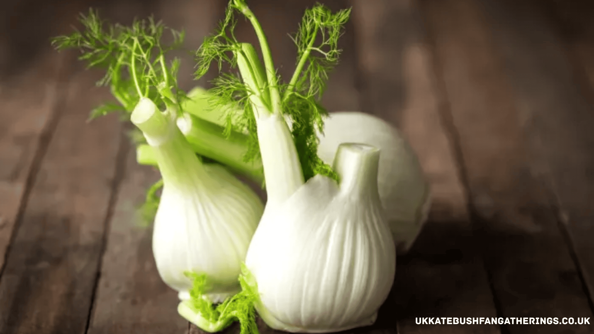 ukkatebushfangatherings.co.uk