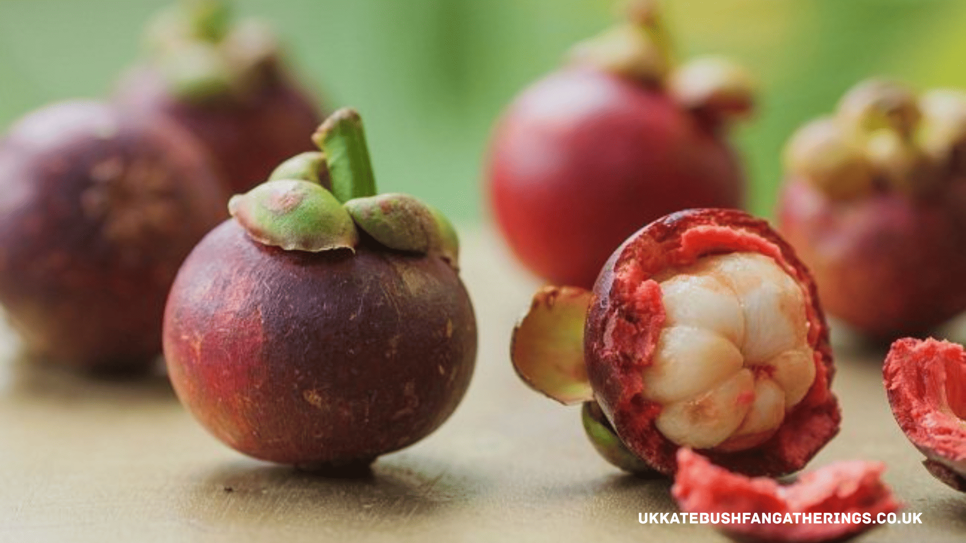 ukkatebushfangatherings.co.uk