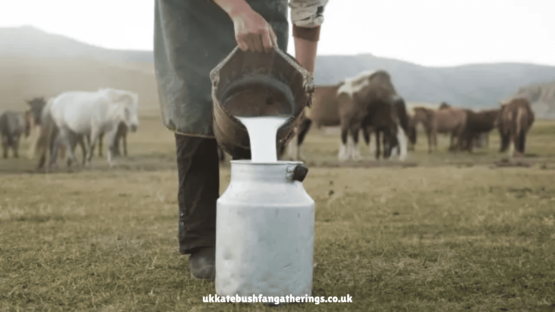 ukkatebushfangatherings.co.uk