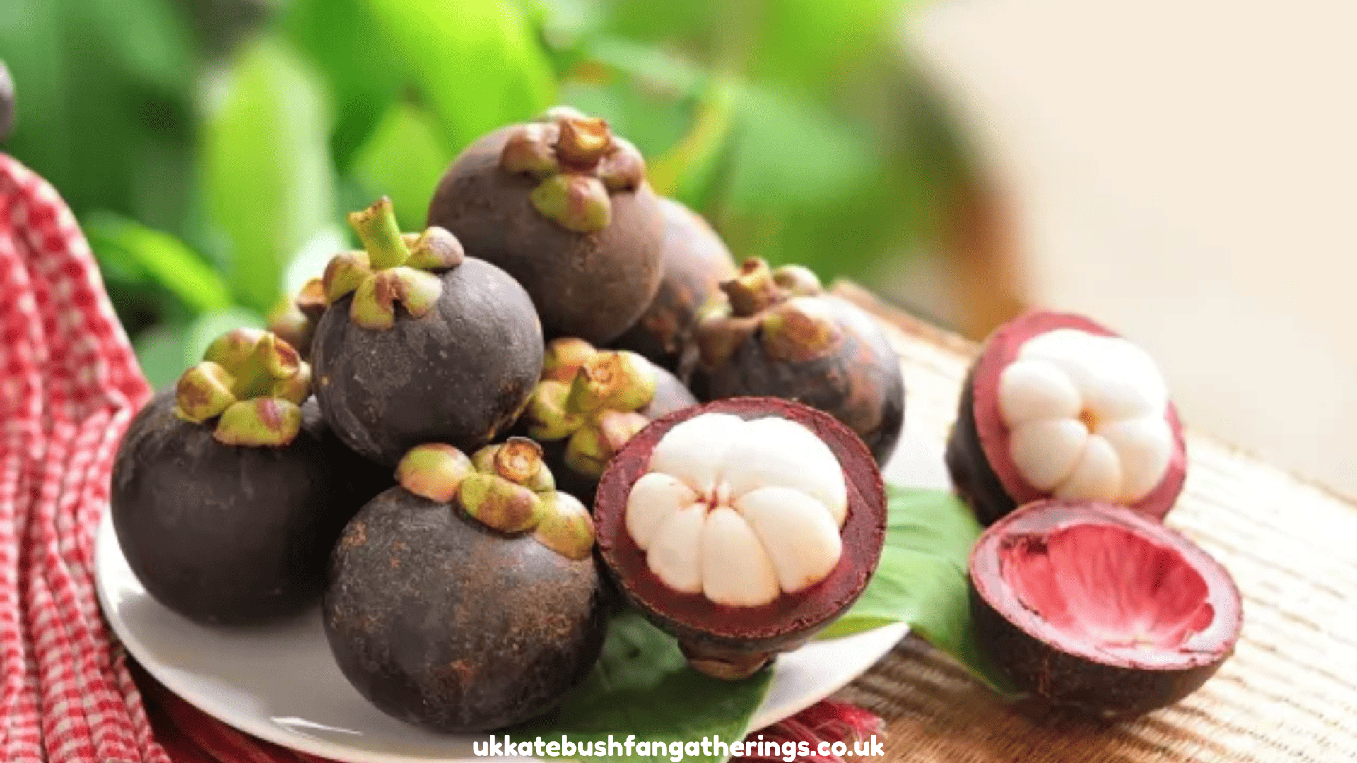 ukkatebushfangatherings.co.uk