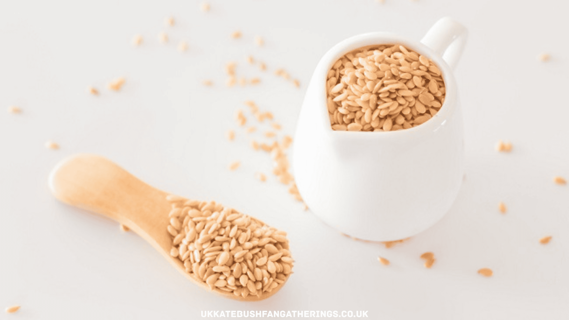 ukkatebushfangatherings.co.uk