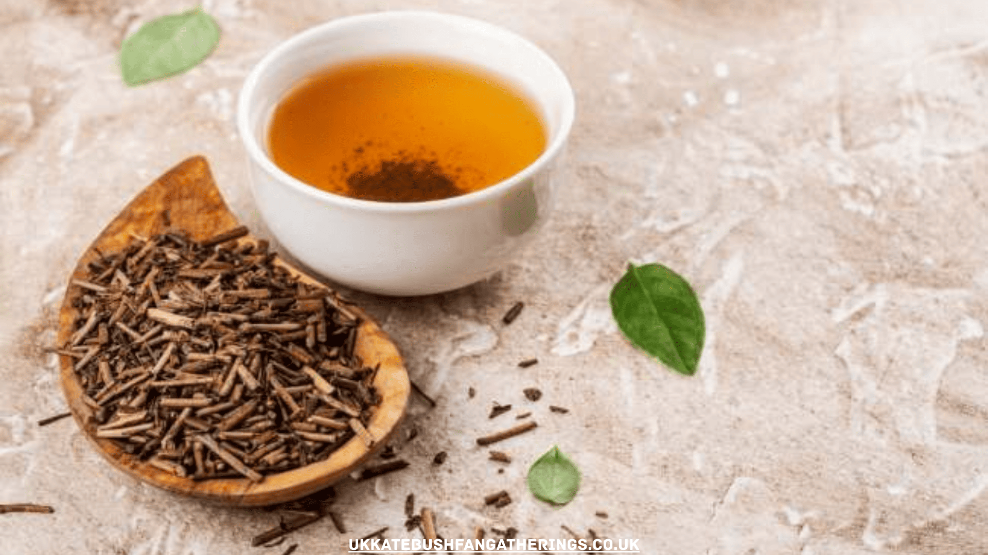 ukkatebushfangatherings.co.uk