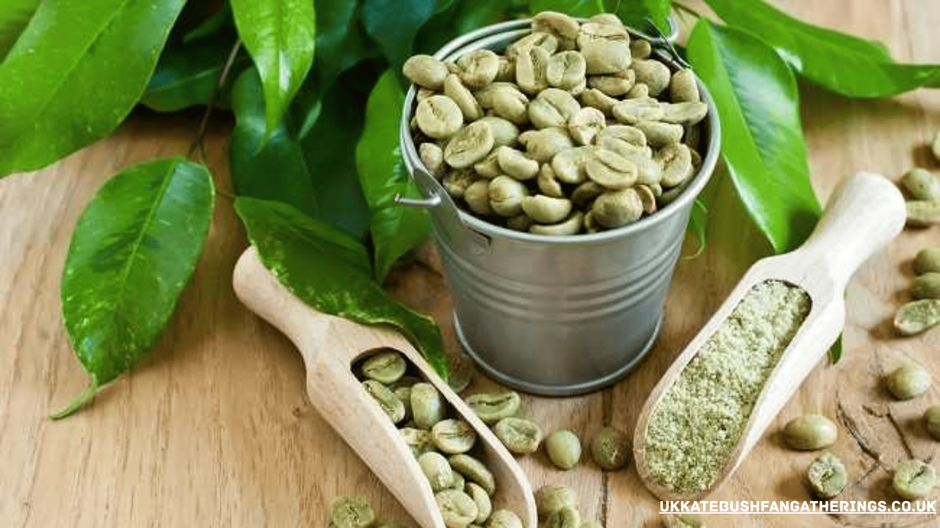 ukkatebushfangatherings.co.uk