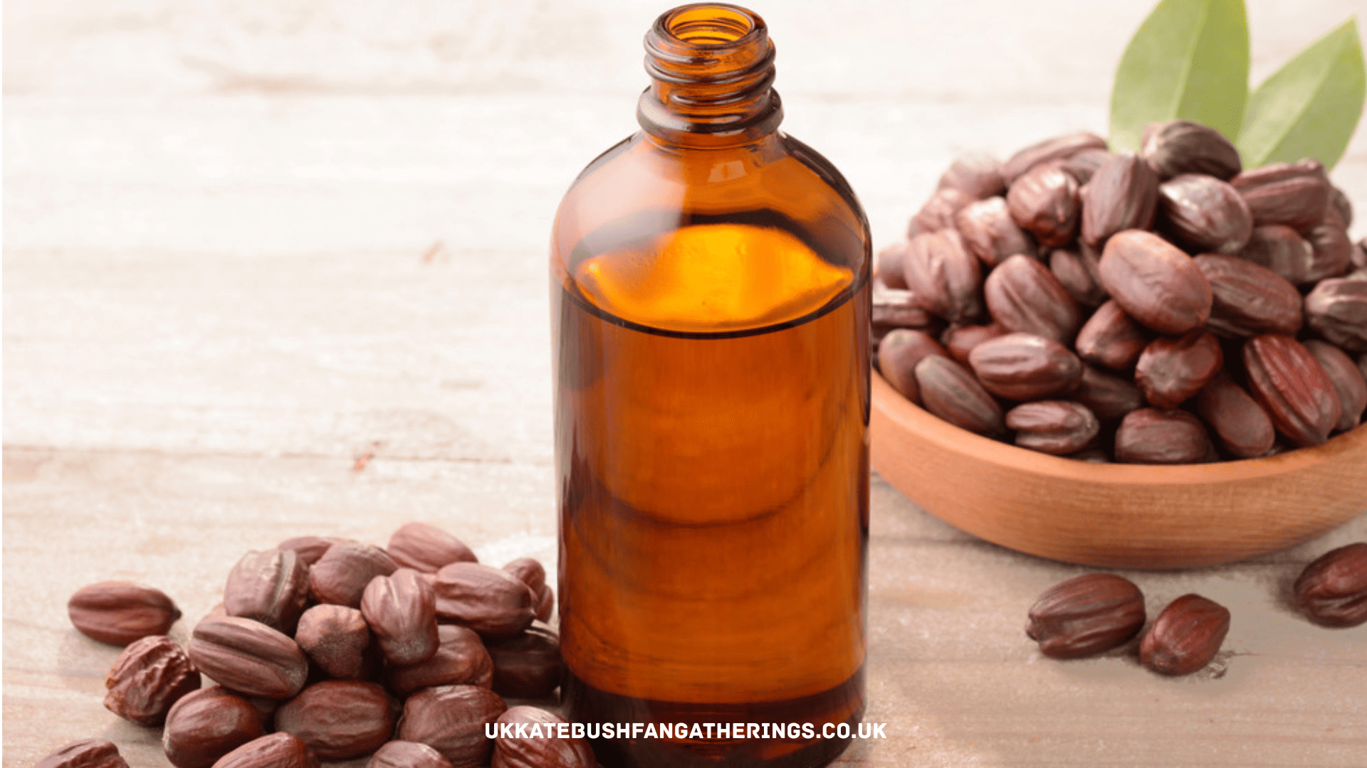 ukkatebushfangatherings.co.uk