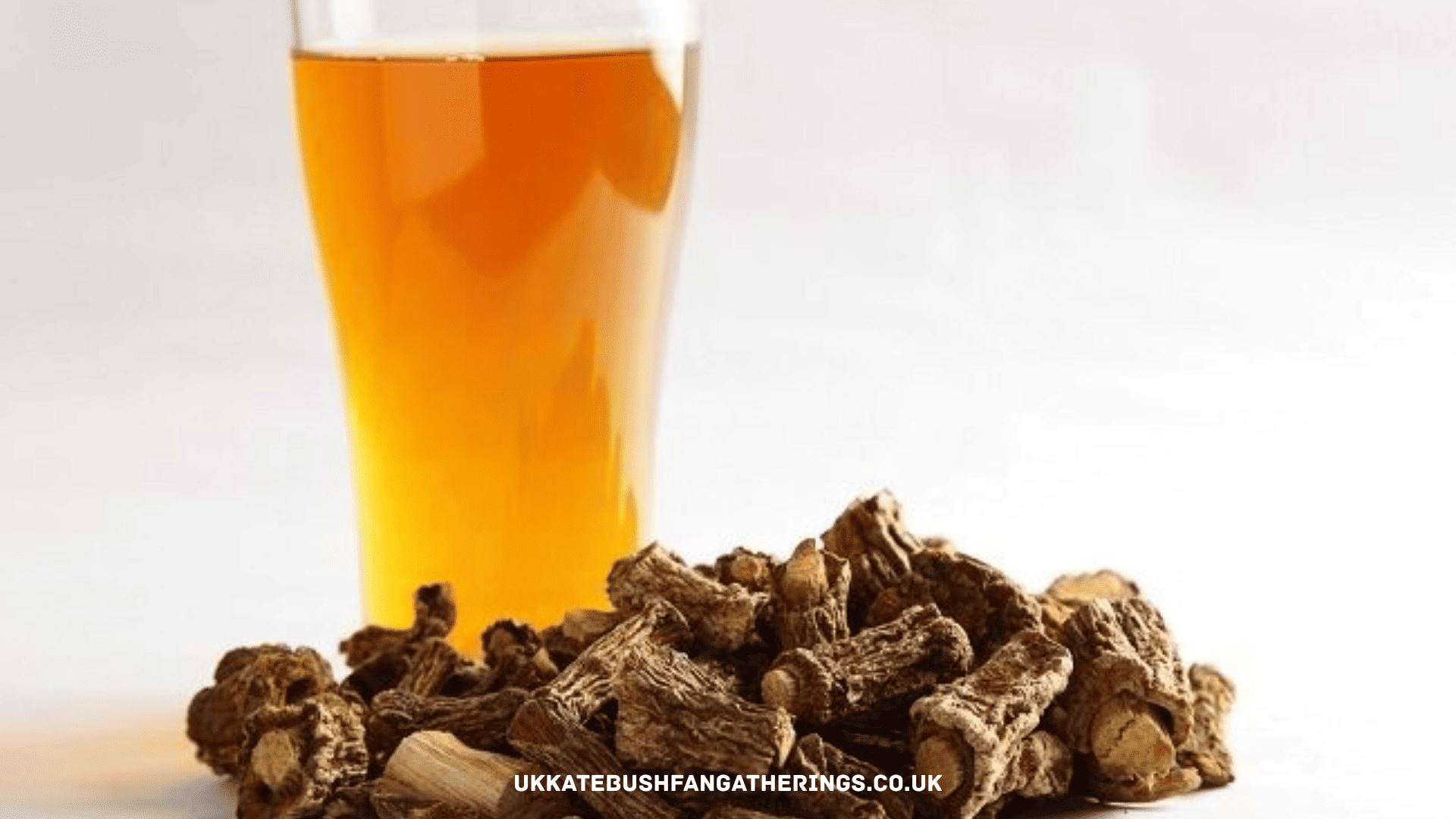 ukkatebushfangatherings.co.uk