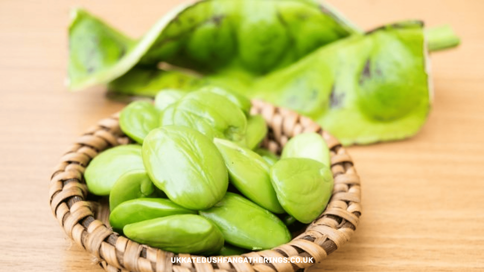 ukkatebushfangatherings.co.uk