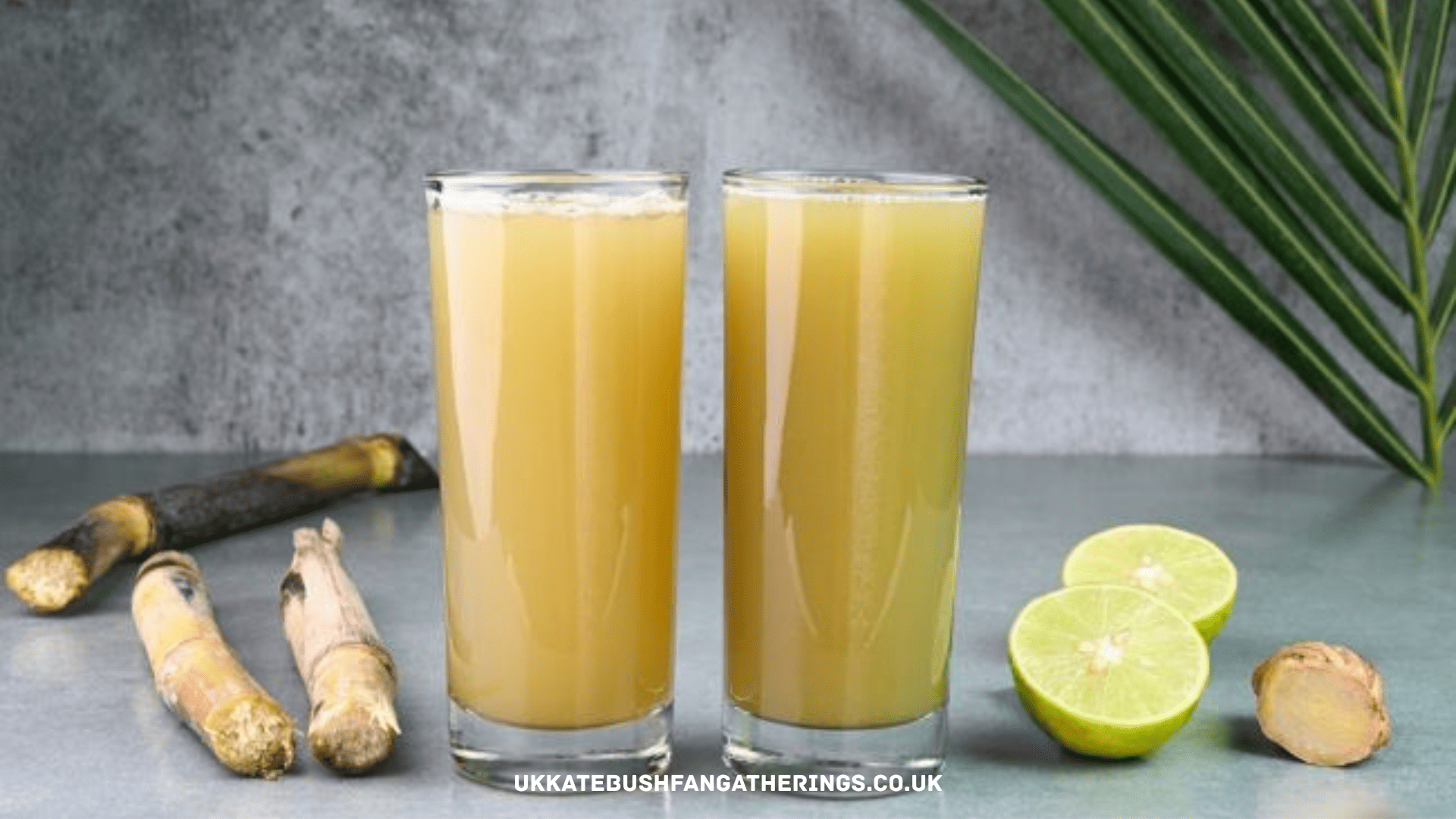 ukkatebushfangatherings.co.uk