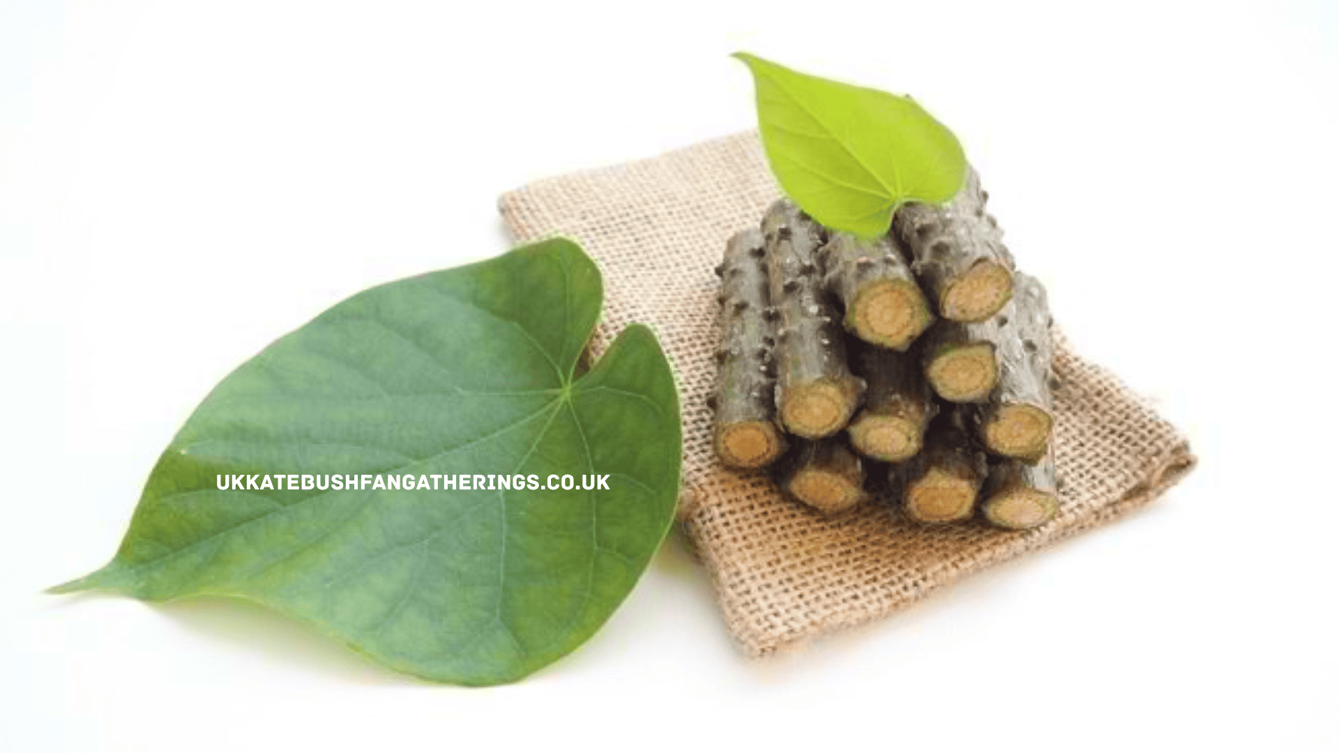 ukkatebushfangatherings.co.uk