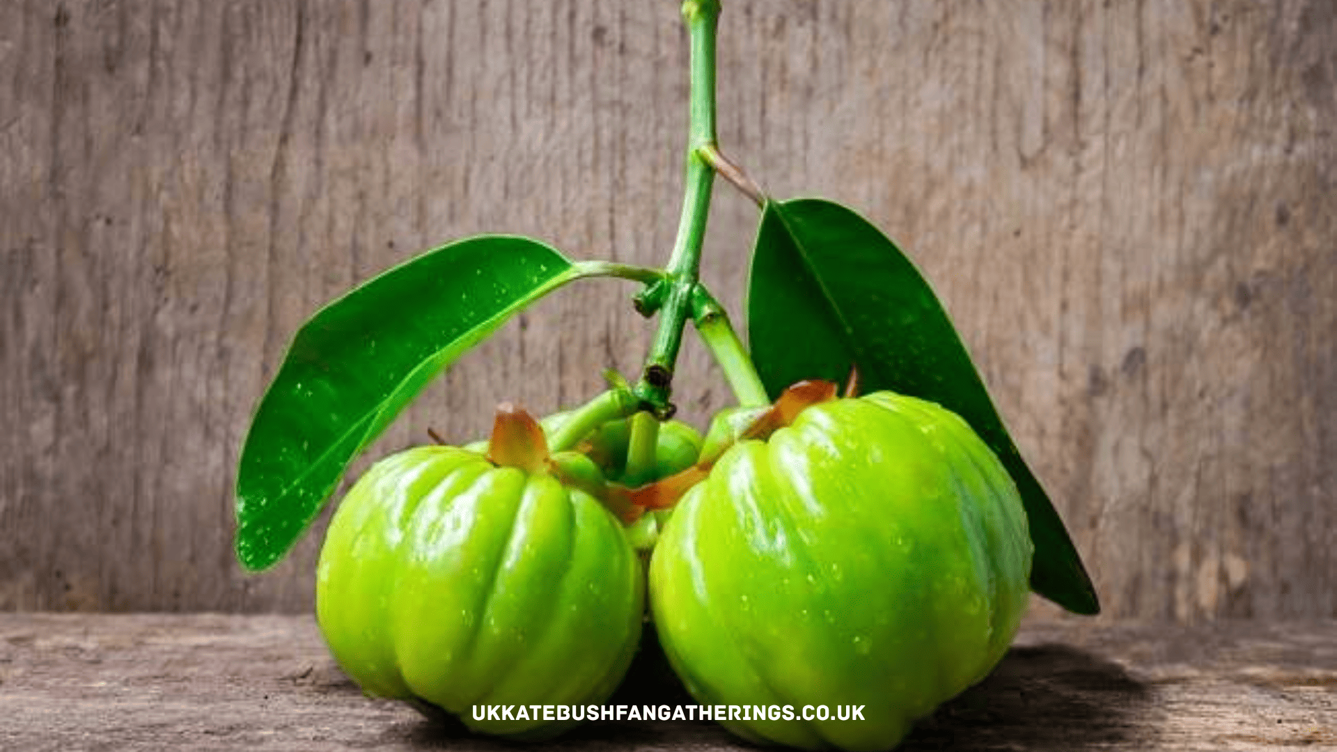 ukkatebushfangatherings.co.uk